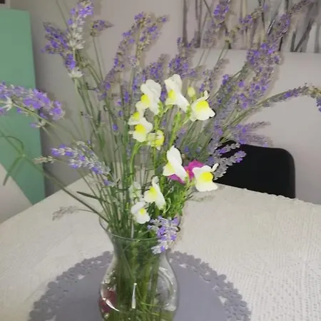 Apartman Marina Dol (Brac)